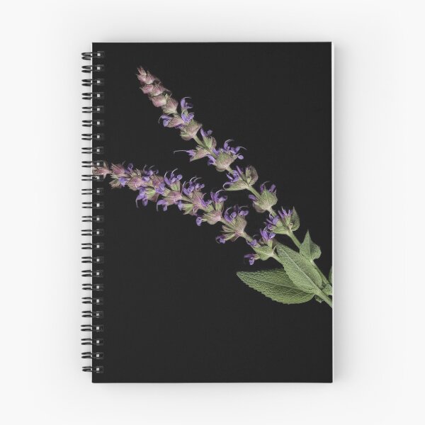 Item preview, Salvia designed and sold by Rasah02.