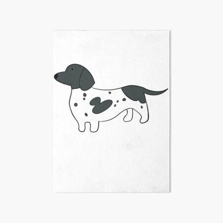 black piebald dachshund