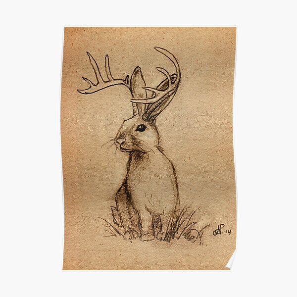 Jackalope Poster