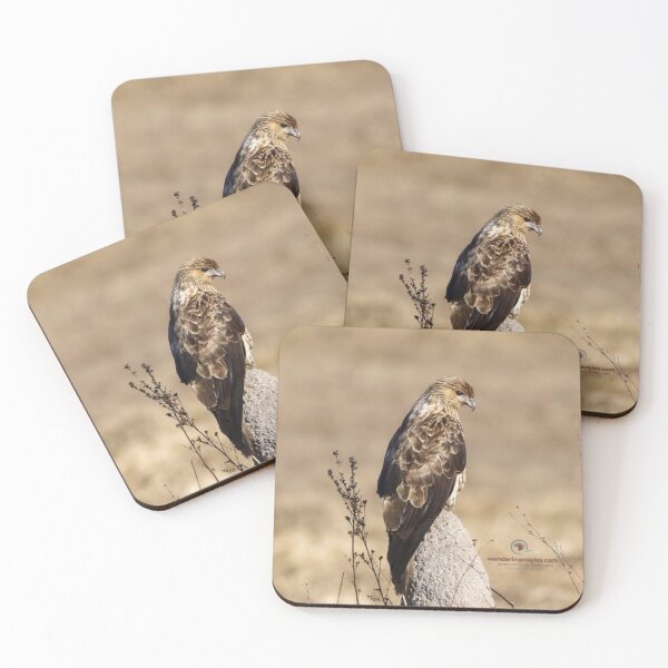 Item preview, Whistling Kite  designed and sold by Wanderingeagles.