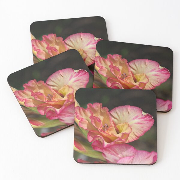 Item preview, Gladiolus Flowers Display  designed and sold by Joy Watson - Natural Light Photography .