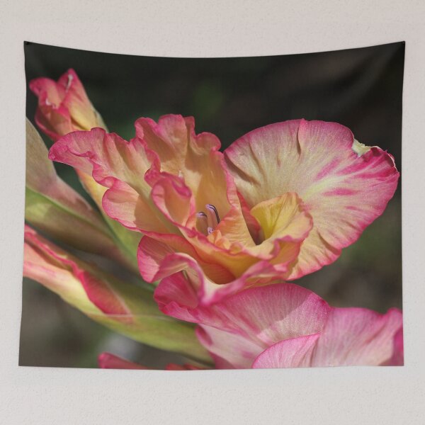 Item preview, Gladiolus Flowers Display  designed and sold by Joy Watson - Natural Light Photography .