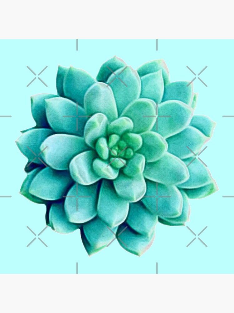 Lámina rígida «Pintura de cactus de flores suculentas ~ Diseño 6 Verde ~  Estilo 1» de Neon-Wolf | Redbubble