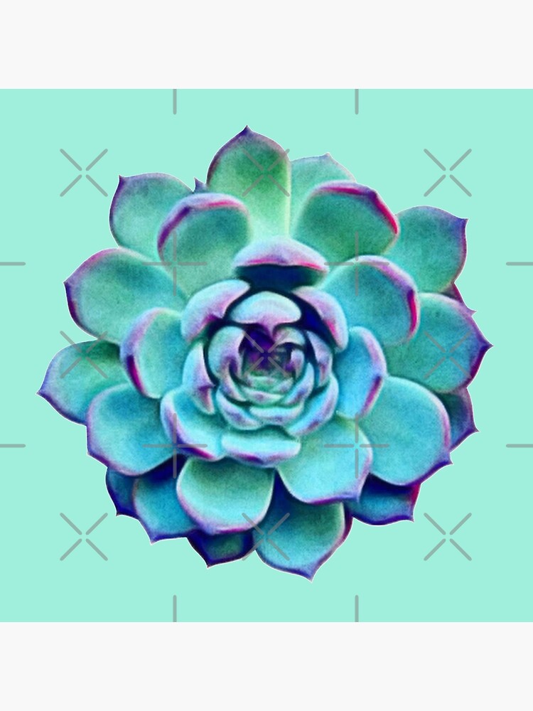 Lámina rígida «Pintura de cactus de flores suculentas ~ Diseño 7 Verde y  morado ~ Estilo 1» de Neon-Wolf | Redbubble