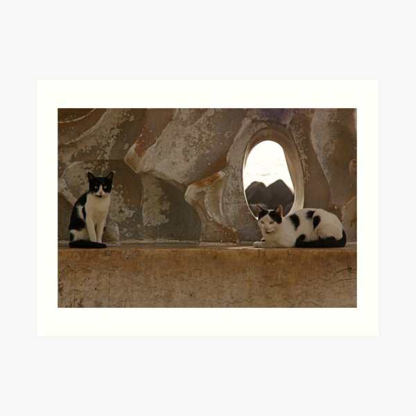 Two old friends by the water Art Print