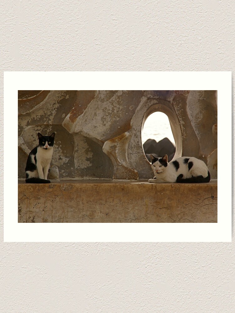 Alternate view of Two old friends by the water Art Print