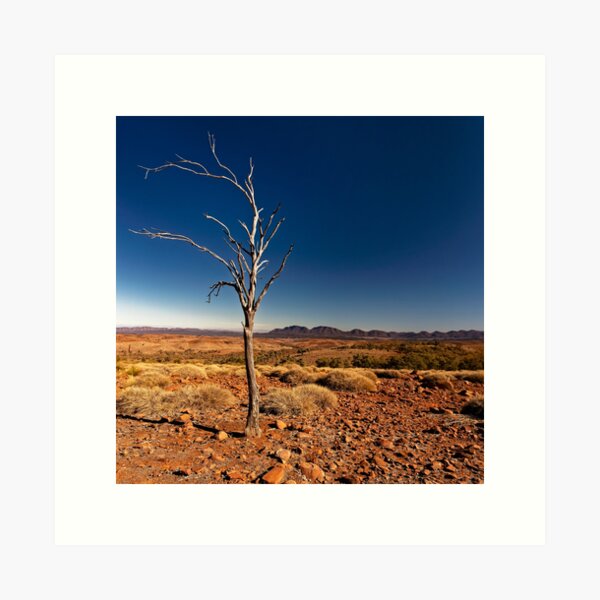 Item preview, Lone Tree designed and sold by David  Hibberd.