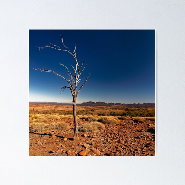 Item preview, Lone Tree designed and sold by David  Hibberd.