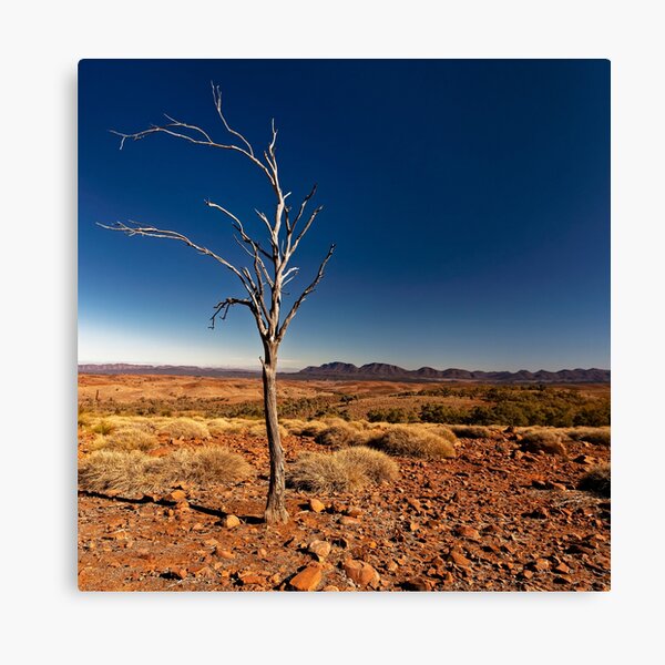 Item preview, Lone Tree designed and sold by David  Hibberd.