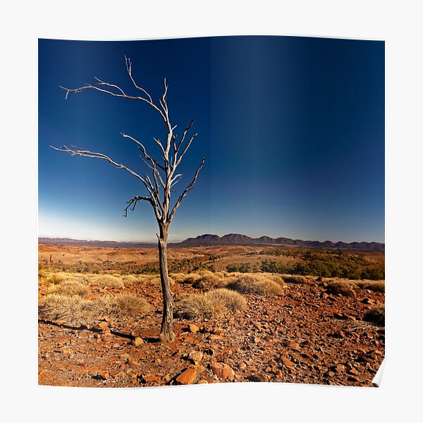Lone Tree Poster