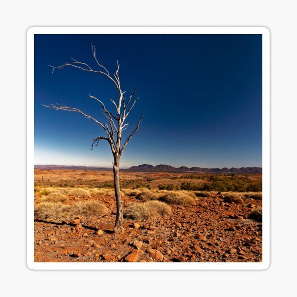 Item preview, Lone Tree designed and sold by David  Hibberd.