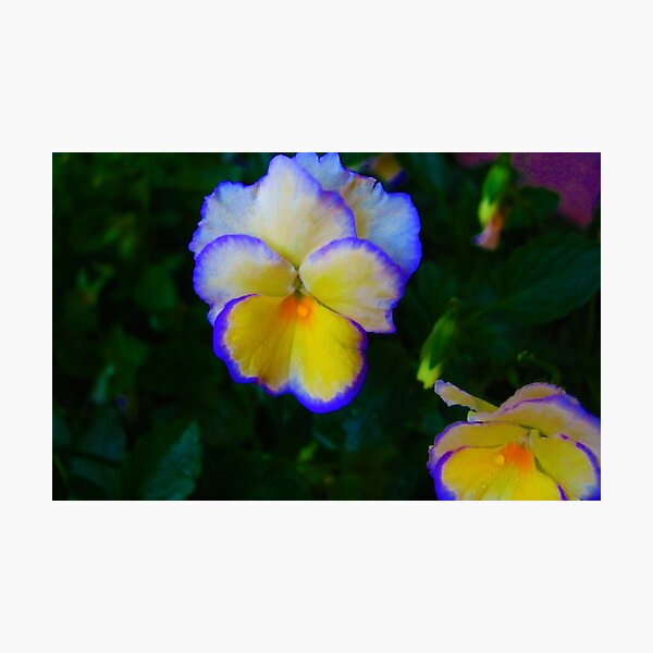 Artikelvorschau, So you need a little color entworfen und verkauft von Picture-It.