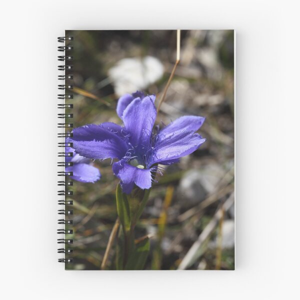 Item preview, Fringed Gentian designed and sold by Zosimus.