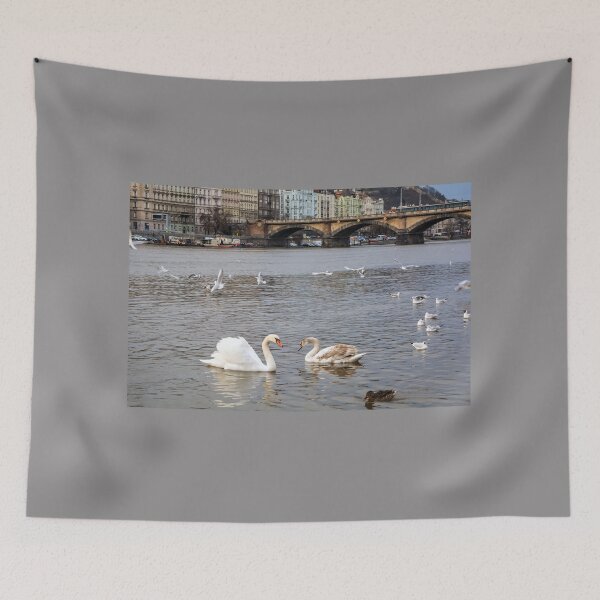 Item preview, Birds at Vltava river in Prague designed and sold by lena-maximova.