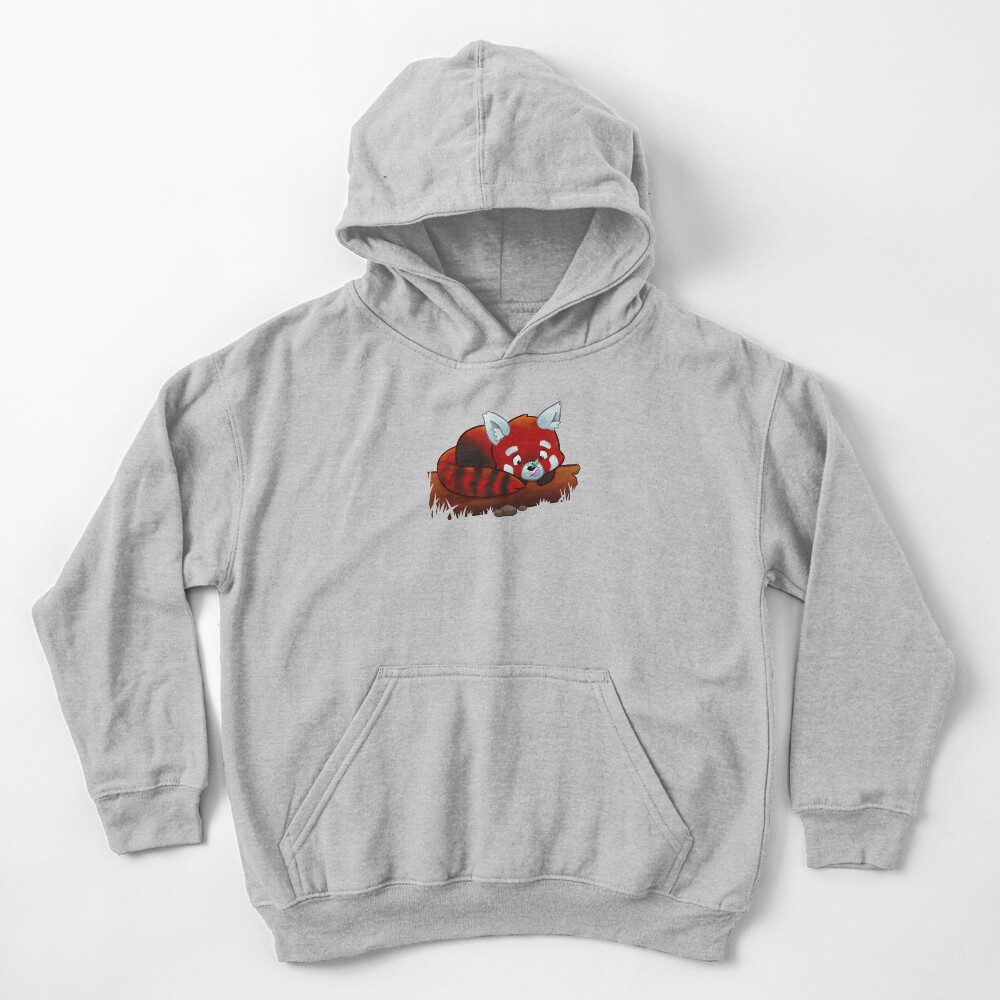 Red Panda's New Friend Kids Pullover Hoodie