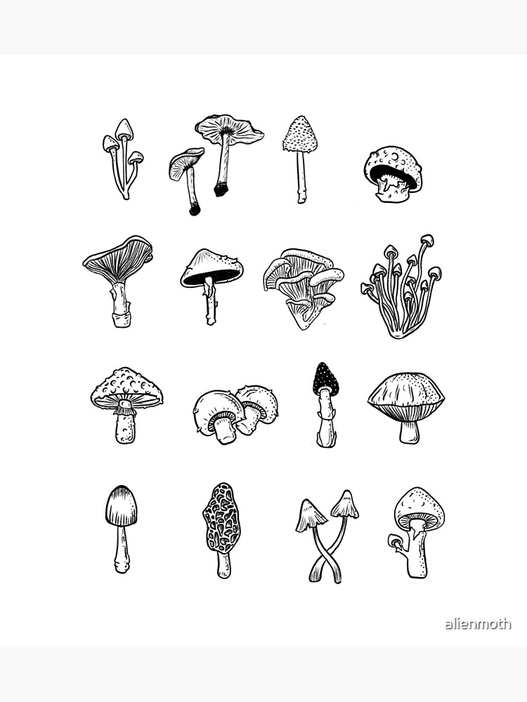 Thumbnail 3 of 3, Art Print, Mushroom designed and sold by alienmoth.
