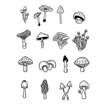Artwork thumbnail, Mushroom by alienmoth