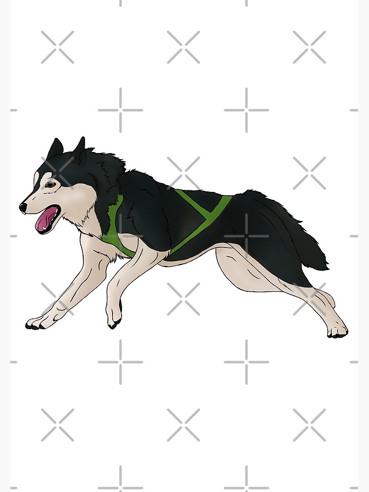 Carte De VÅux Husky Siberien Chien De Traineau Par Cynthiaetal Redbubble