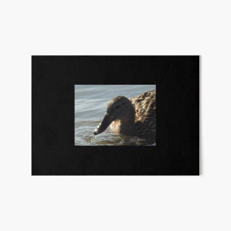 read duck bird head Art Board Print