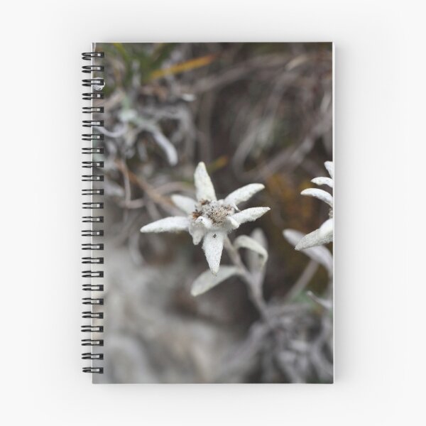 Item preview, Alpine Edelweiss designed and sold by Zosimus.
