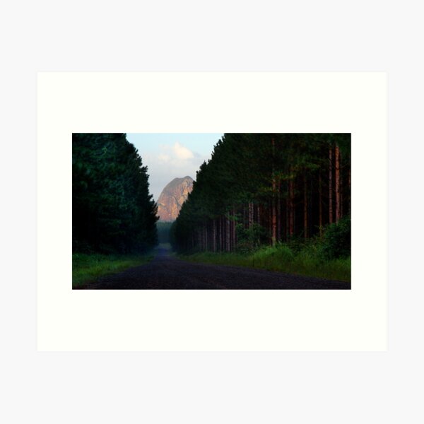 Take me home Art Print