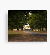 Salisbury Waters Bridge, Gostwyk, NSW Canvas Print