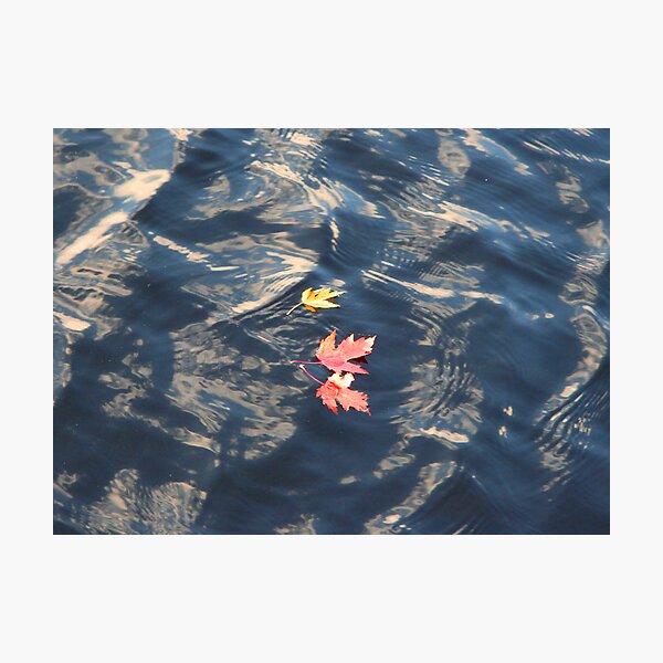 Muskoka Photographic Print