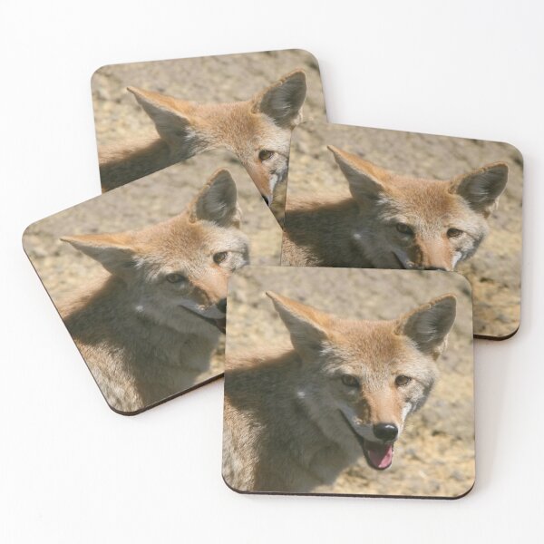 Item preview, Mesa Verde Coyote designed and sold by BarbaraWilliams.
