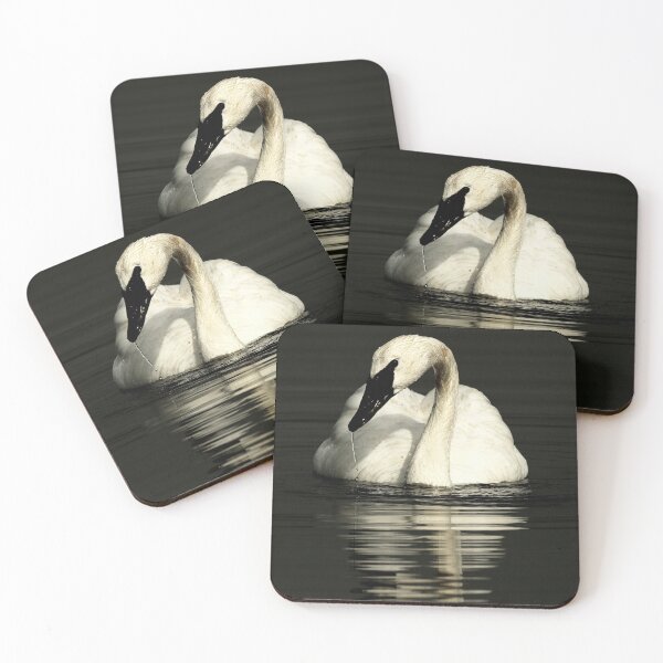 Item preview, Trumpeter Swan - Out of Darkness designed and sold by Wild One.