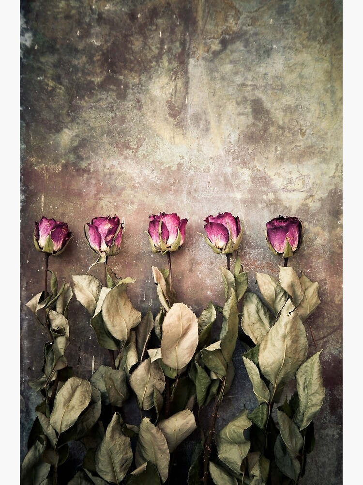 Five dried roses | Art Print