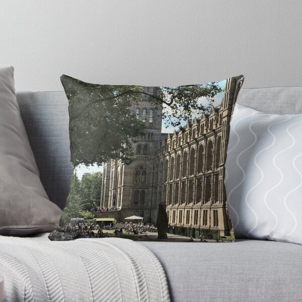 Natural History Museum Pillows Cushions Redbubble