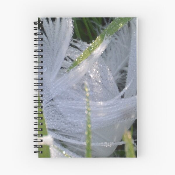 Item preview, Dew covered  Swan Feather and blades of grass make for a sparkling morn designed and sold by lynn carter.