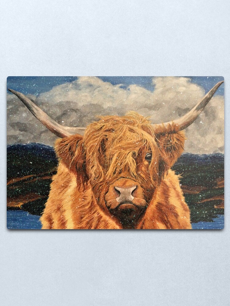 Alternate view of Highland Cow in Early Snow - Wall Art Metal Print
