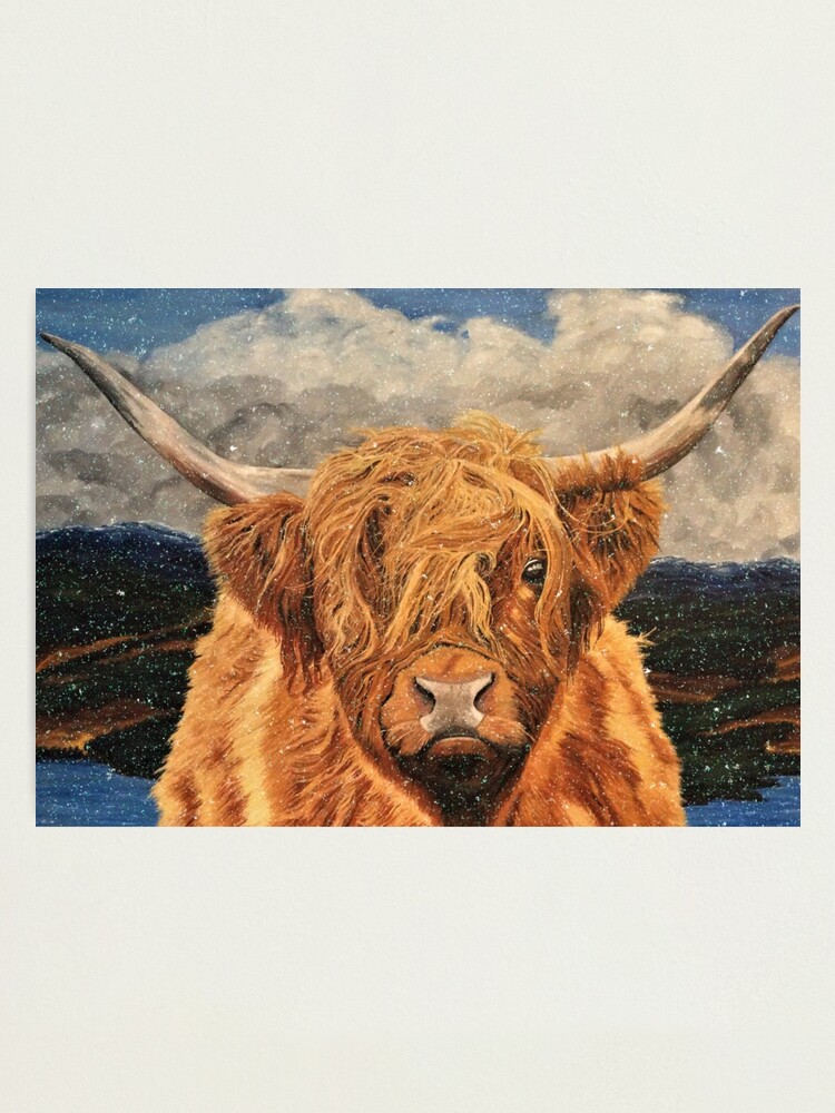 Alternate view of Highland Cow in Early Snow - Wall Art Photographic Print