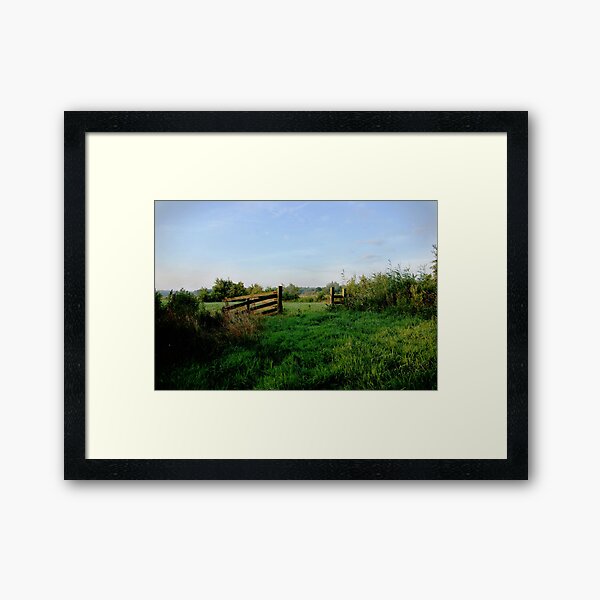 Meadow gate in morning light Framed Art Print