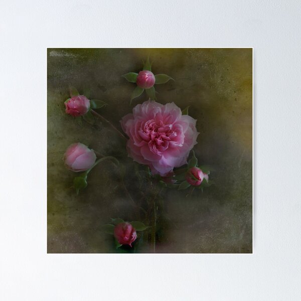 Item preview, Rose Montage designed and sold by Dianne English.