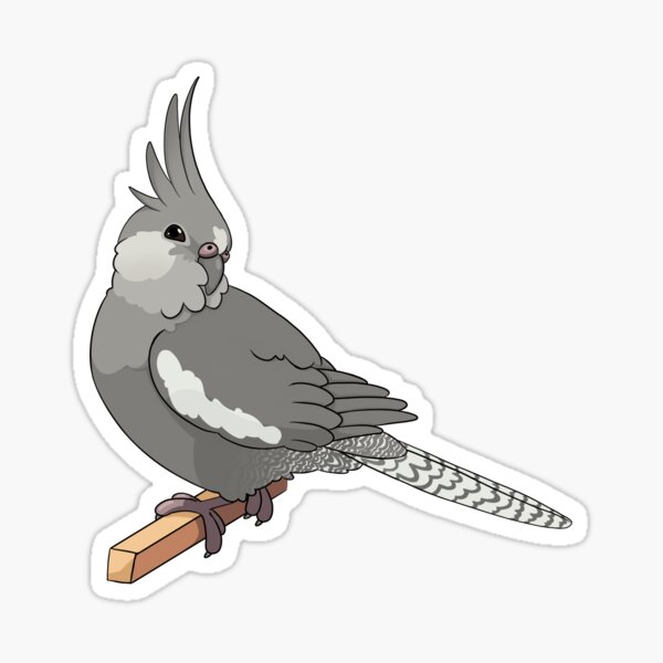 Gray Cockatiel Sticker – Lil Monsters Bird Toys