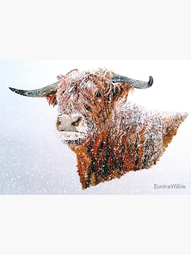 Snowy Highland Cow in Falling Snow - Wall Art by EuniceWilkie