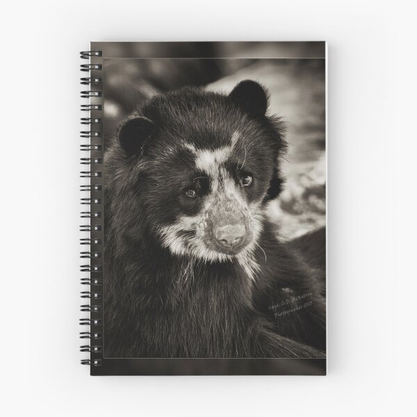 Item preview, Bear designed and sold by Texas Enfocus Photography.