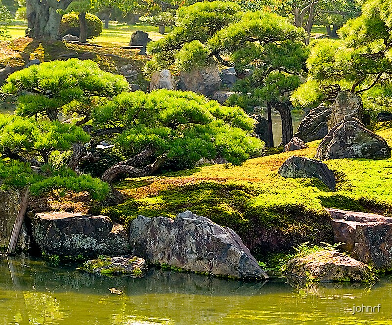 "Moss garden and Cypress trees in Kyoto, Japan." by johnrf Redbubble