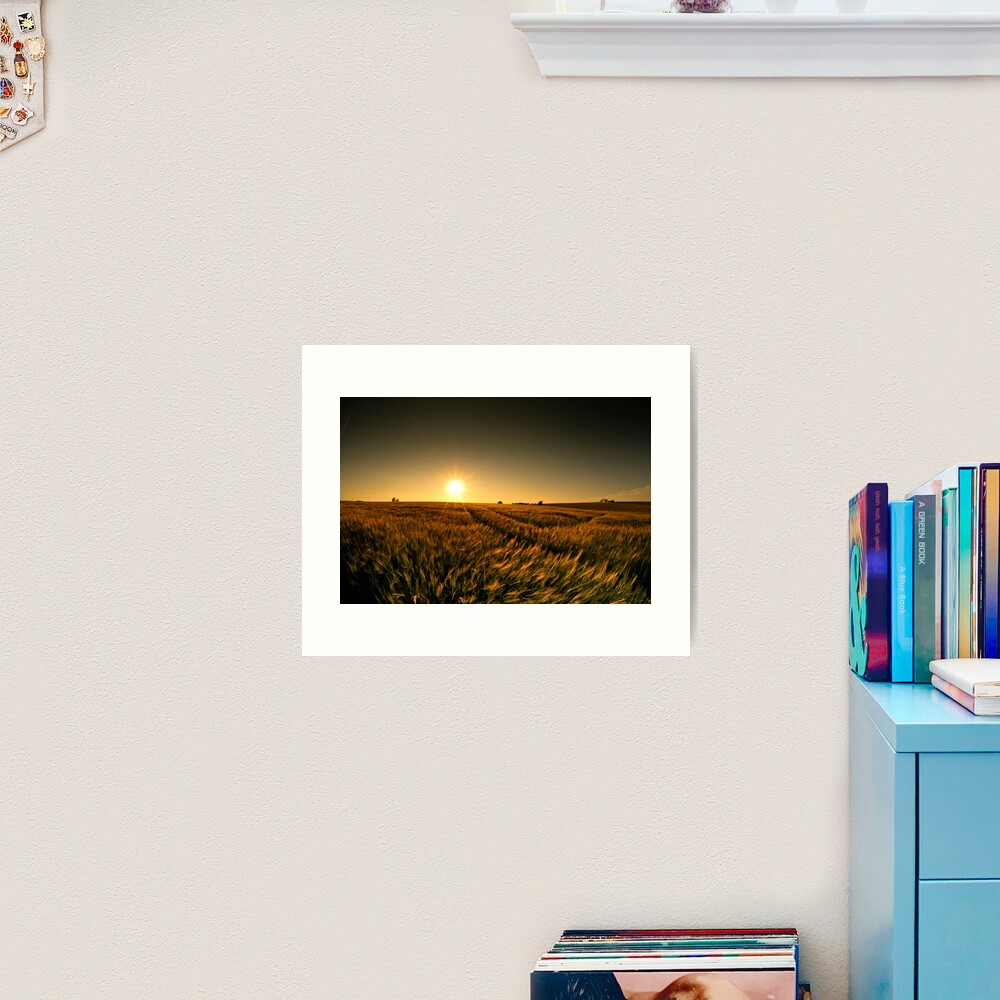 Sunny crop Art Print