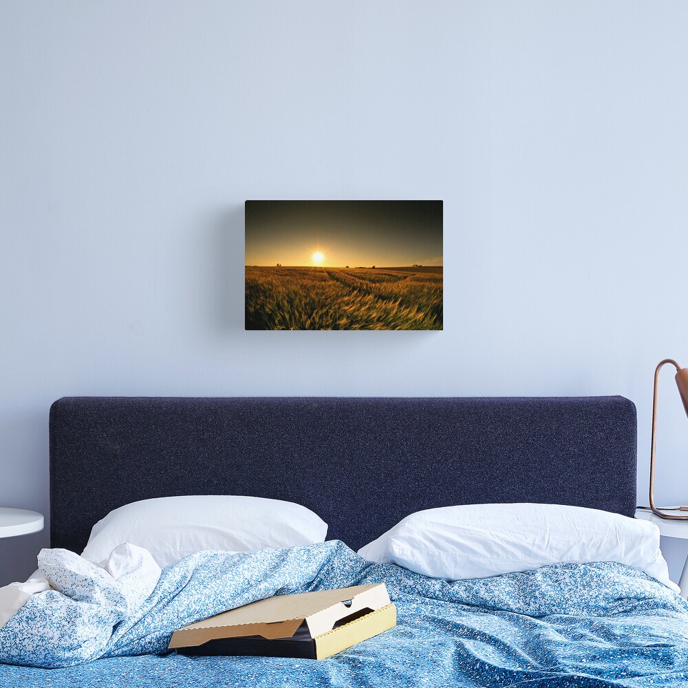 Sunny crop Canvas Print