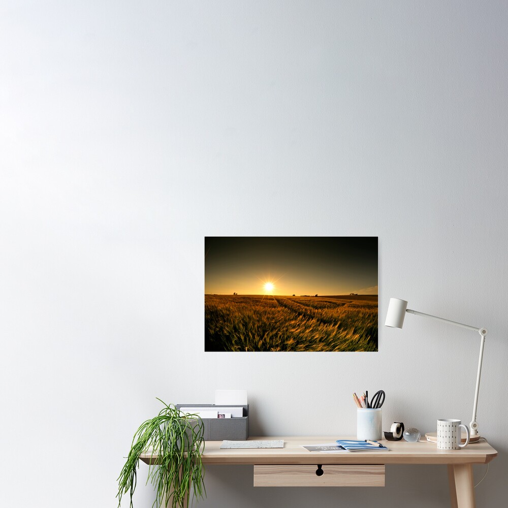 Sunny crop Poster