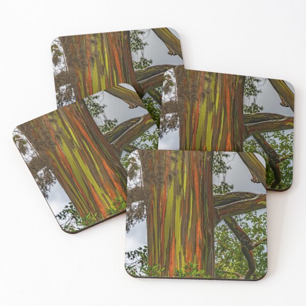 Item preview, Rainbow Eucalyptus designed and sold by Roselyn Shoko.