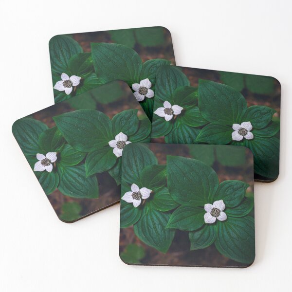 Item preview, Bunchberry Twins designed and sold by Joshua Snyder.