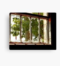 Panes In Pain Canvas Print