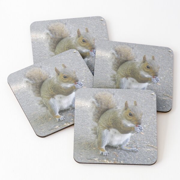 Item preview, Cheeky Little Grey Squirrel Eating a Peanut Photograph designed and sold by naturegallery.