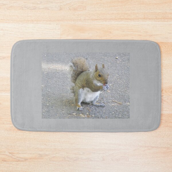 Item preview, Cheeky Little Grey Squirrel Eating a Peanut Photograph designed and sold by naturegallery.