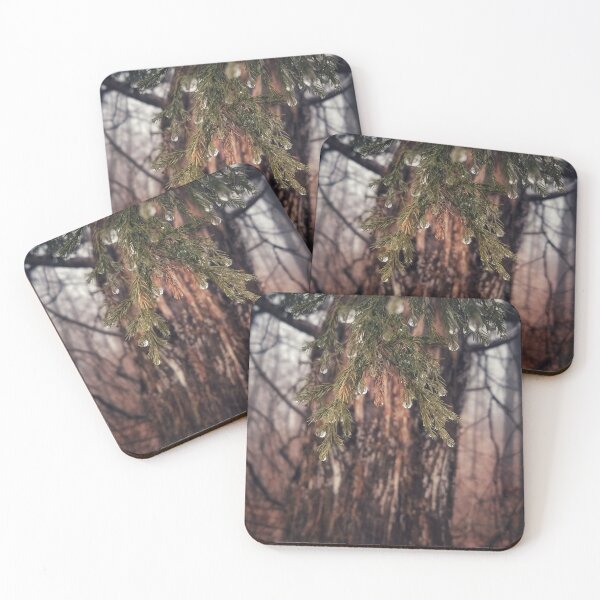 Item preview, Rain on Cedar designed and sold by J Rier Photography.