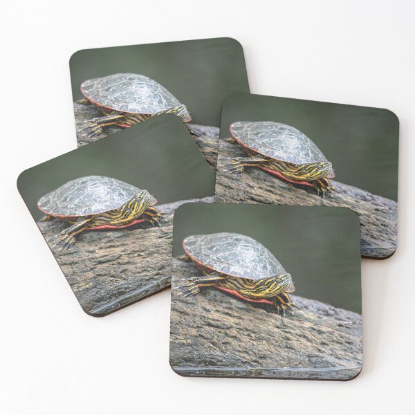 Item preview, Sunbathing designed and sold by DToddFarnham.